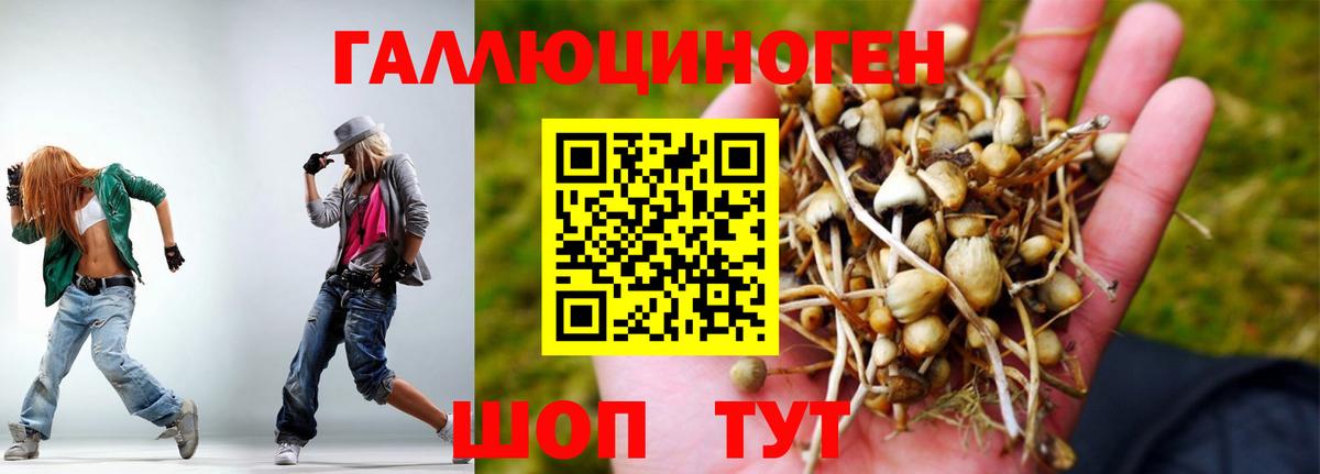 Галлюциногенные грибы GOLDEN TEACHER Ступино